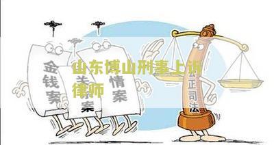 山东博山刑事上诉律师 山东博山刑事上诉律师