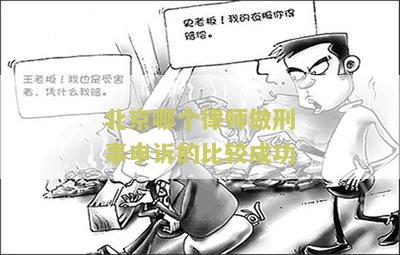 北京哪个律师做刑事申诉的比较成功
