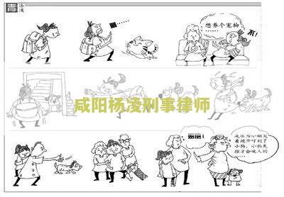 阳刑事律师电话号码及陕西律师事务所联系方式