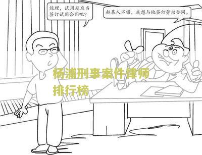 浦刑事案件律师排行榜