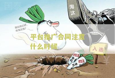 平台推广合同注意什么时候