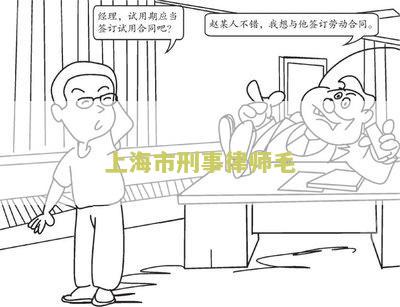 上海市刑事律师毛