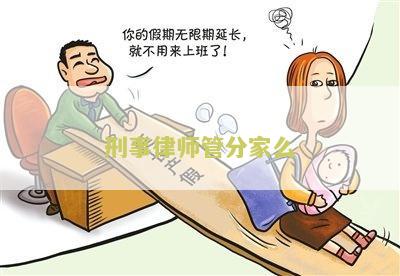 刑事案件律师分为几个阶，各阶律师的作用