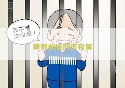 律师参加刑事和解流程：风险和时间长度