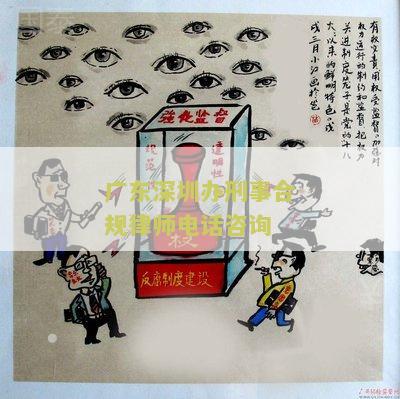 广东深圳办刑事合规律师电话咨询