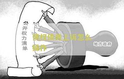 债权人上诉状应怎样写