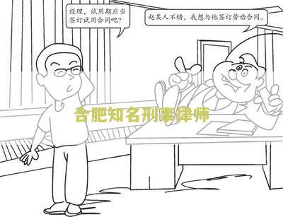 合肥知名刑事律师名单公示最新