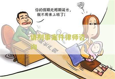 请刑事案件律师咨询