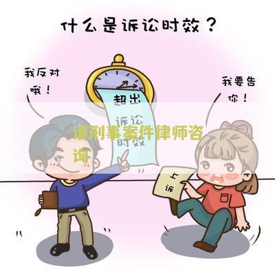 请刑事案件律师咨询