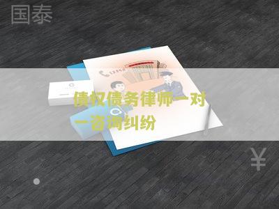 债权债务律师一对一咨询纠纷