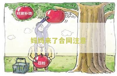 妈妈来了合同注意
