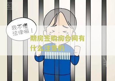 期房签购房合同有什么注意的吗，怎么写，需要注意什么