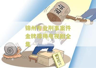 锦州专业刑事案件金牌律师电视剧全集