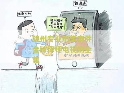 锦州专业刑事案件金牌律师电视剧全集