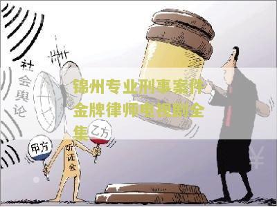锦州专业刑事案件金牌律师电视剧全集