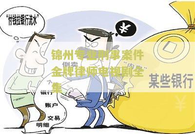 锦州专业刑事案件金牌律师电视剧全集