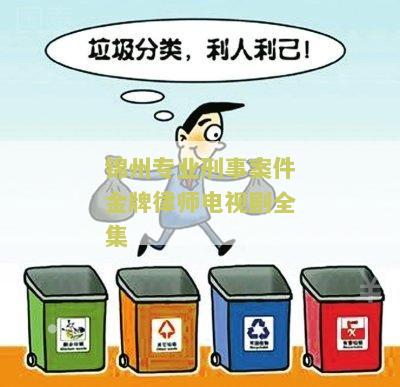 锦州专业刑事案件金牌律师电视剧全集