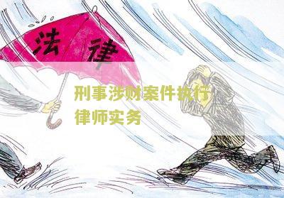 刑事涉财案件执行律师实务