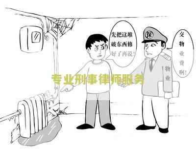 专业刑事案件律师事务所