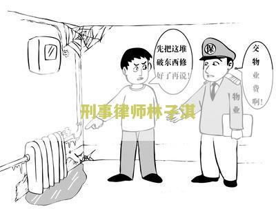刑事律师林子淇是谁？如何选择合适的刑事律师？