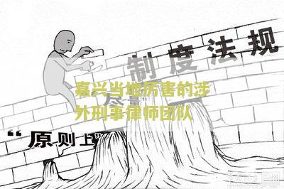 嘉兴当地害的涉外刑事律师团队有哪些公司和人