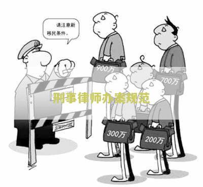 律师办理刑事案件规2020版本指南