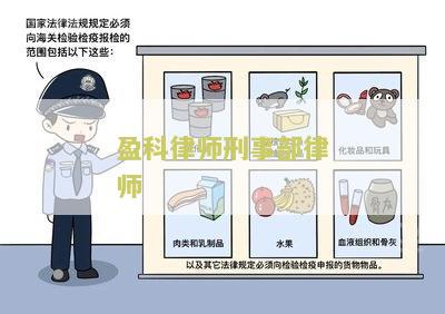 盈科律师刑事部律师