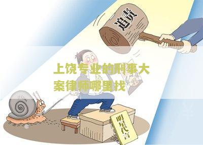 上专业的刑事大案律师哪里找