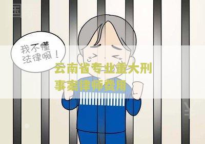 云南刑事律师排名前十及名人榜