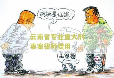 云南省专业重大刑事案律师费用