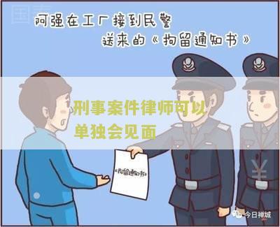 刑事犯罪律师可以会见几次被告，辩护人及嫌疑人