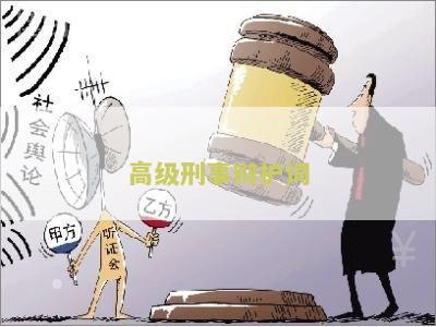 刑事案件优秀辩护词：无罪辩护与罪轻辩护案例及文