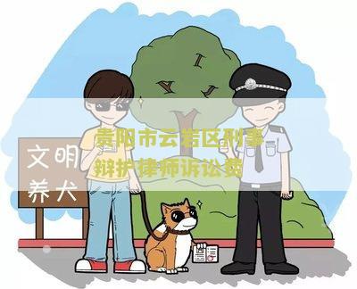 贵阳市云岩区刑事辩护律师诉讼费多少钱一次