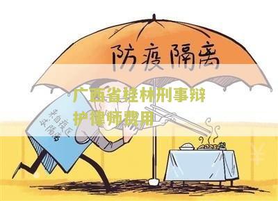 林刑事律师一般多少钱？事务所咨询费用？一次还是一个月？