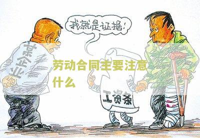 劳动合同主要注意什么