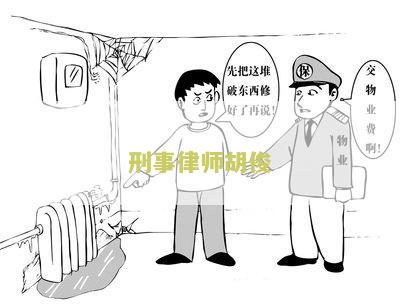 刑事辩护律师胡云简介