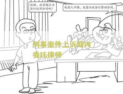 刑事案件上诉期内委托律师