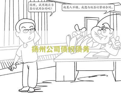 扬州公司债权债务转让流程、协议及公告