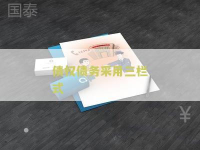 债权债务三栏式明细账：包括数量金额式和三栏式账页，用于记录债权债务的详细信息。必须采用三栏式账页，长度不超过70字节。