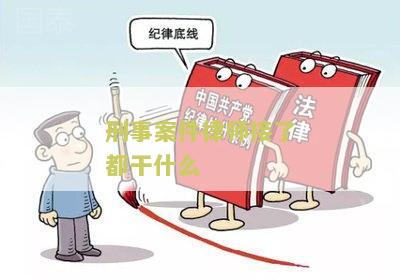 刑事案件律师接了都干什么
