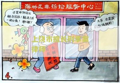 上市擅长刑事案律师是谁