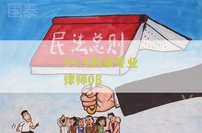 99.9刑事专业律师08