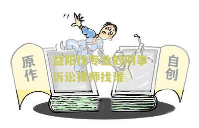 益阳找专业的刑事诉讼律师找谁
