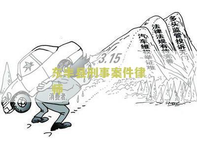 东丰县刑事案件律师名单查询及联系电话
