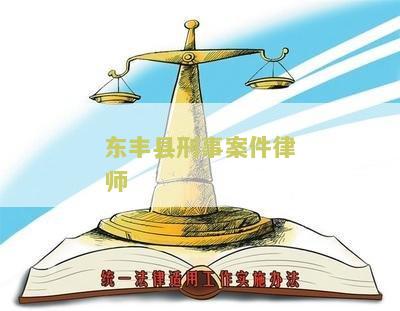 东丰县刑事案件律师