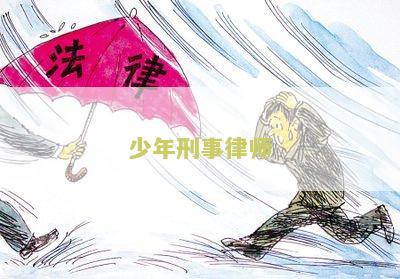 少年刑事律师是谁扮演的，少年刑事案件