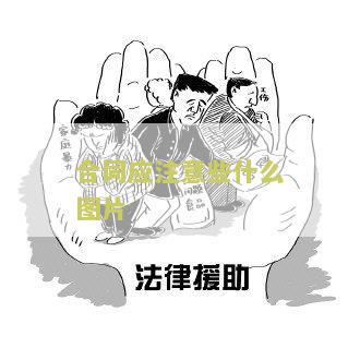 合同应该注意哪些方面？-完整合同必须注意的要点