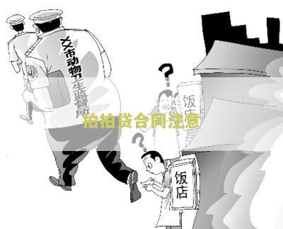 拍拍贷合同注意什么问题及细节