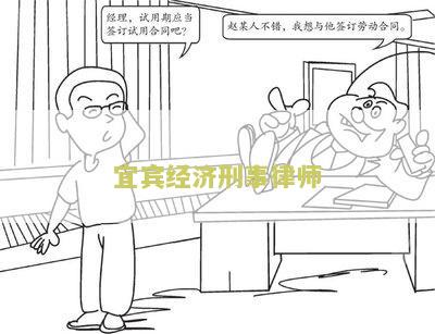 宜宾经济刑事律师