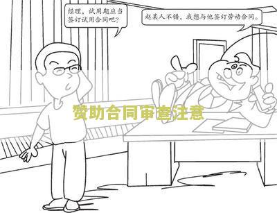 审核赞助目时，应予以重视的主要问题及原因